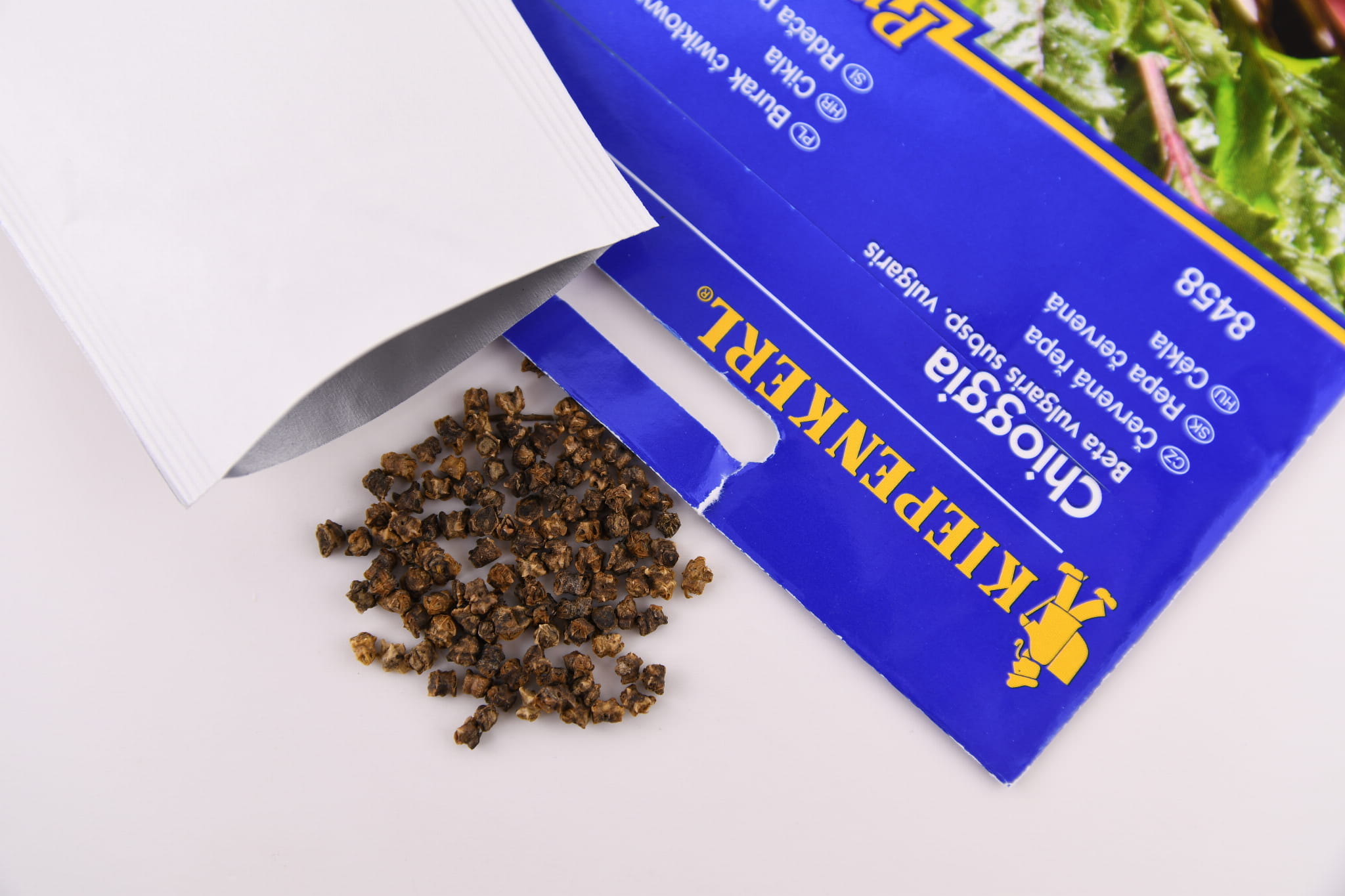 Burak Æwik³owy 'Chioggia' Odporny Kiepenkerl - obrazek 2