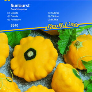 Patison 'Sunburst'  Nasiona Kiepenkerl