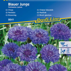 Chaber B³awatek 'Blauer Junge' Kiepenkerl