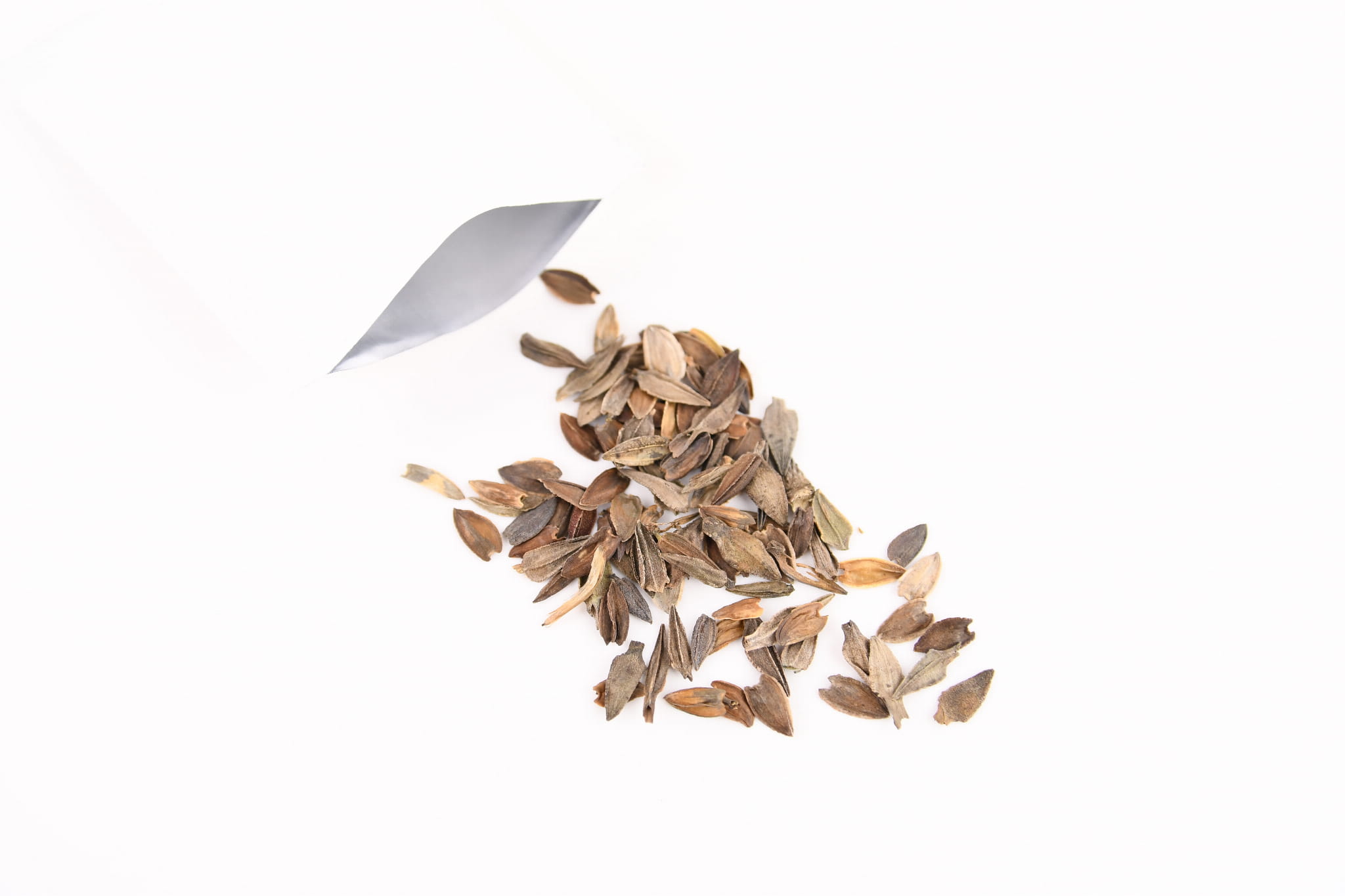 Cynia Mix Nasion Kiepenkerl - obrazek 3