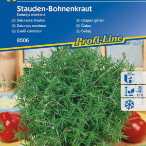 Cz¹ber Górski Aromatyczny Kiepenkerl