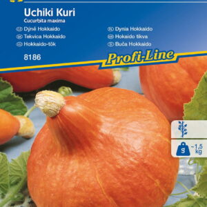 Dynia Hokkaido 'Uchiki Kuri' Nasiona Kiepenkerl