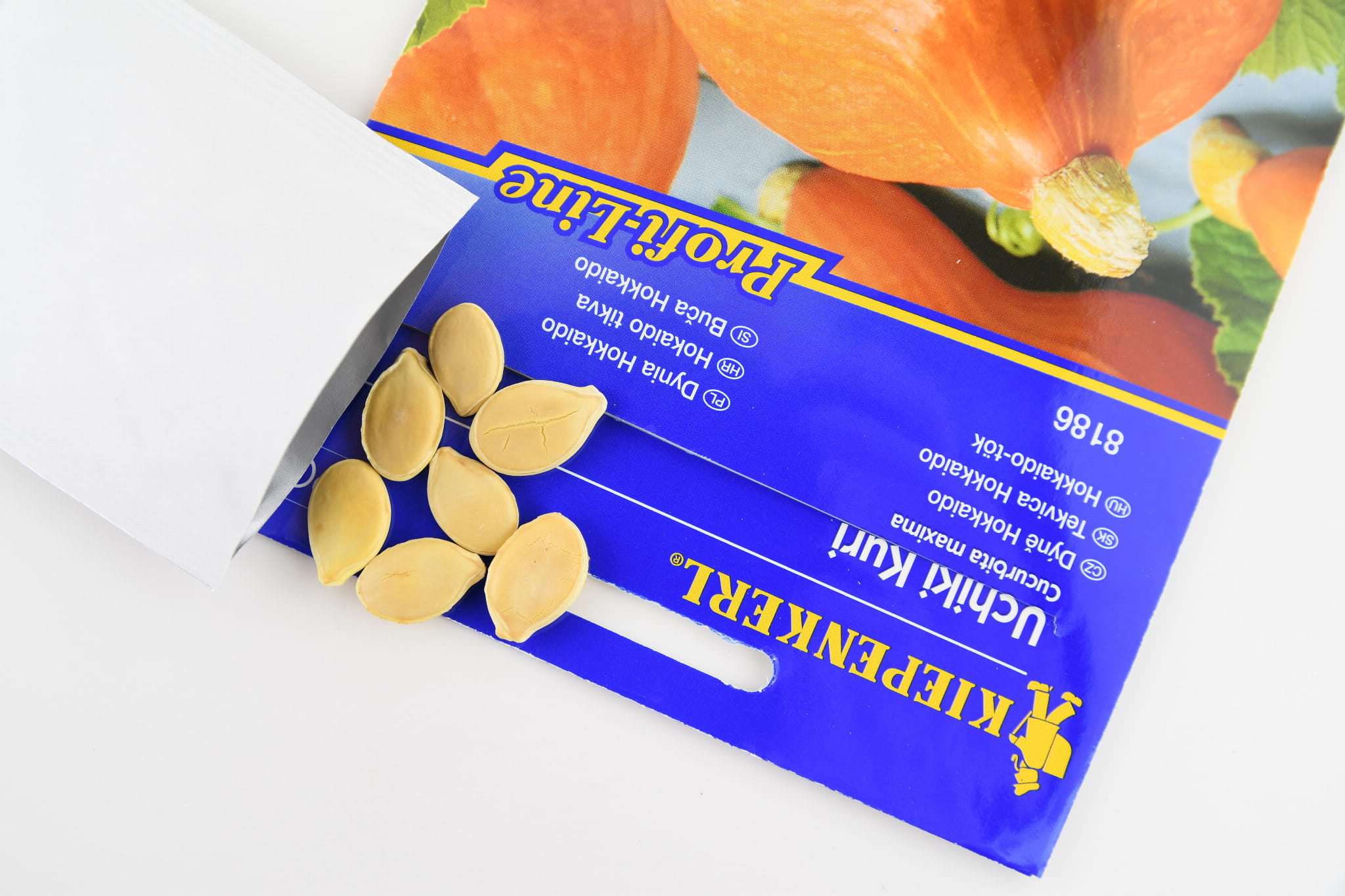 Dynia Hokkaido 'Uchiki Kuri' Nasiona Kiepenkerl - obrazek 2