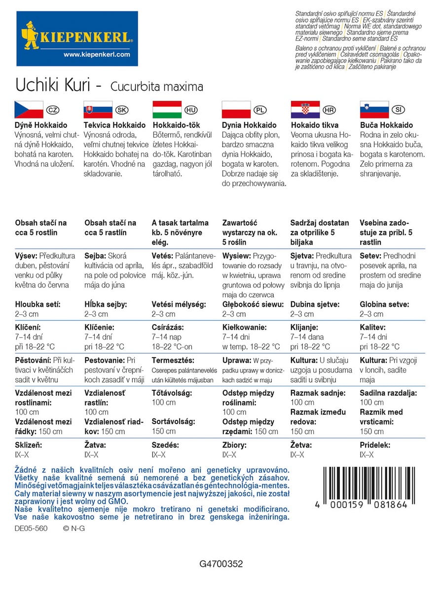 Dynia Hokkaido 'Uchiki Kuri' Nasiona Kiepenkerl - obrazek 3