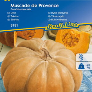 Dynia Olbrzymia 'Muscade de Provenc' Pi¿mowa Kiepenkerl