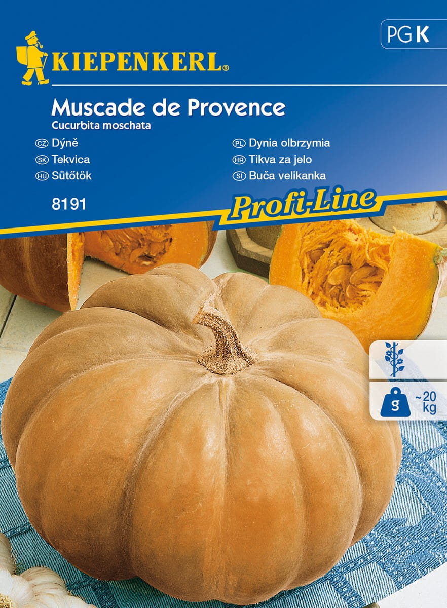 Dynia Olbrzymia 'Muscade de Provenc' Pi¿mowa Kiepenkerl