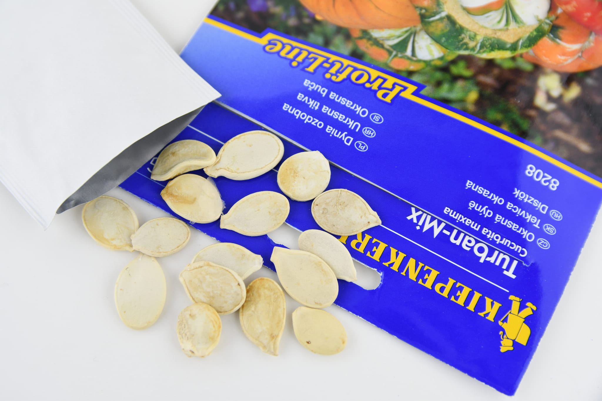 Dynia Ozdobna 'Turban' Mix Nasiona Kiepenkerl - obrazek 2