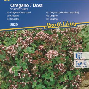 Oregano Lebiodka Kiepenkerl