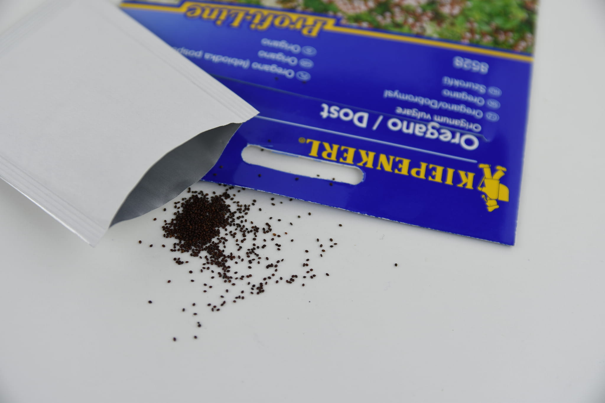 Oregano Lebiodka Kiepenkerl - obrazek 2