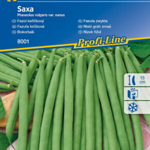 Fasola Szparagowa 'Saxa' Wczesna Kiepenkerl