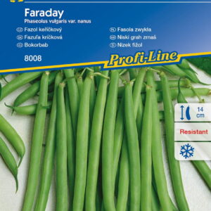 Fasola zwyk³a 'Faraday'