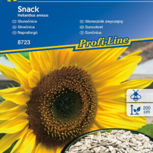 S³onecznik Zwyczajny 'Snack'  Kiepenkerl