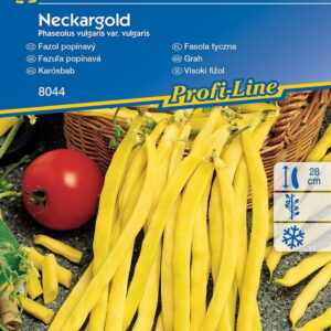 Fasola Tyczna 'Neckargold' ¯ó³ta Kiepenkerl