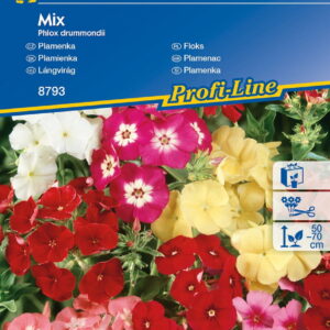 Floks Drymmonda Mix Nasion Kiepenkerl