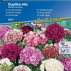 Godzik Brodaty 'Duplika' Mix Nasion Kiepenkerl