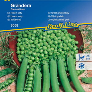 Groch 'Grandera'  Odporny  Kiepenkerl