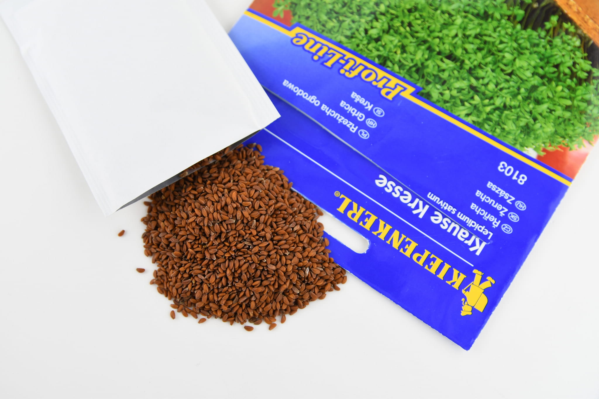 Rze¿ucha 'Krause Kresse' Ca³oroczna Kiepenkerl - obrazek 3