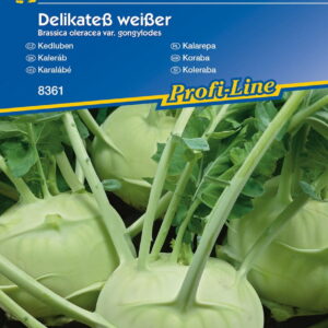 Kalarepa 'Delikateß weißer' Delikatna Kiepenkerl