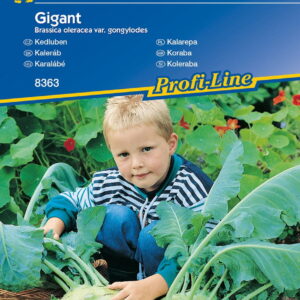 Kalarepa 'Gigant' Na Póny Zbiór Kiepenkerl