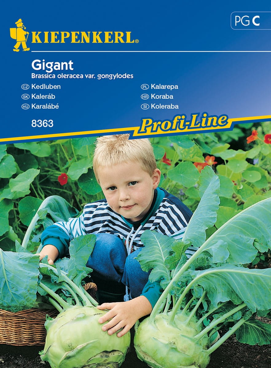 Kalarepa 'Gigant' Na Póny Zbiór Kiepenkerl