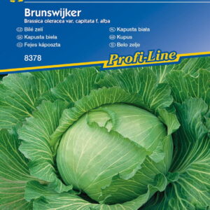 Kapusta G³owiasta Bia³a 'Brunswijker'  Kiepnekerl