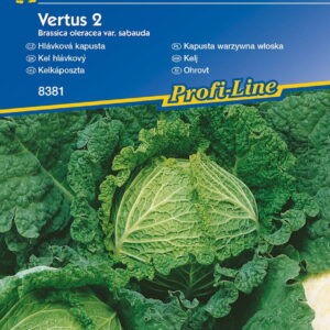 Kapusta W³oska 'Vertus 2'  Póna  Kiepenkerl