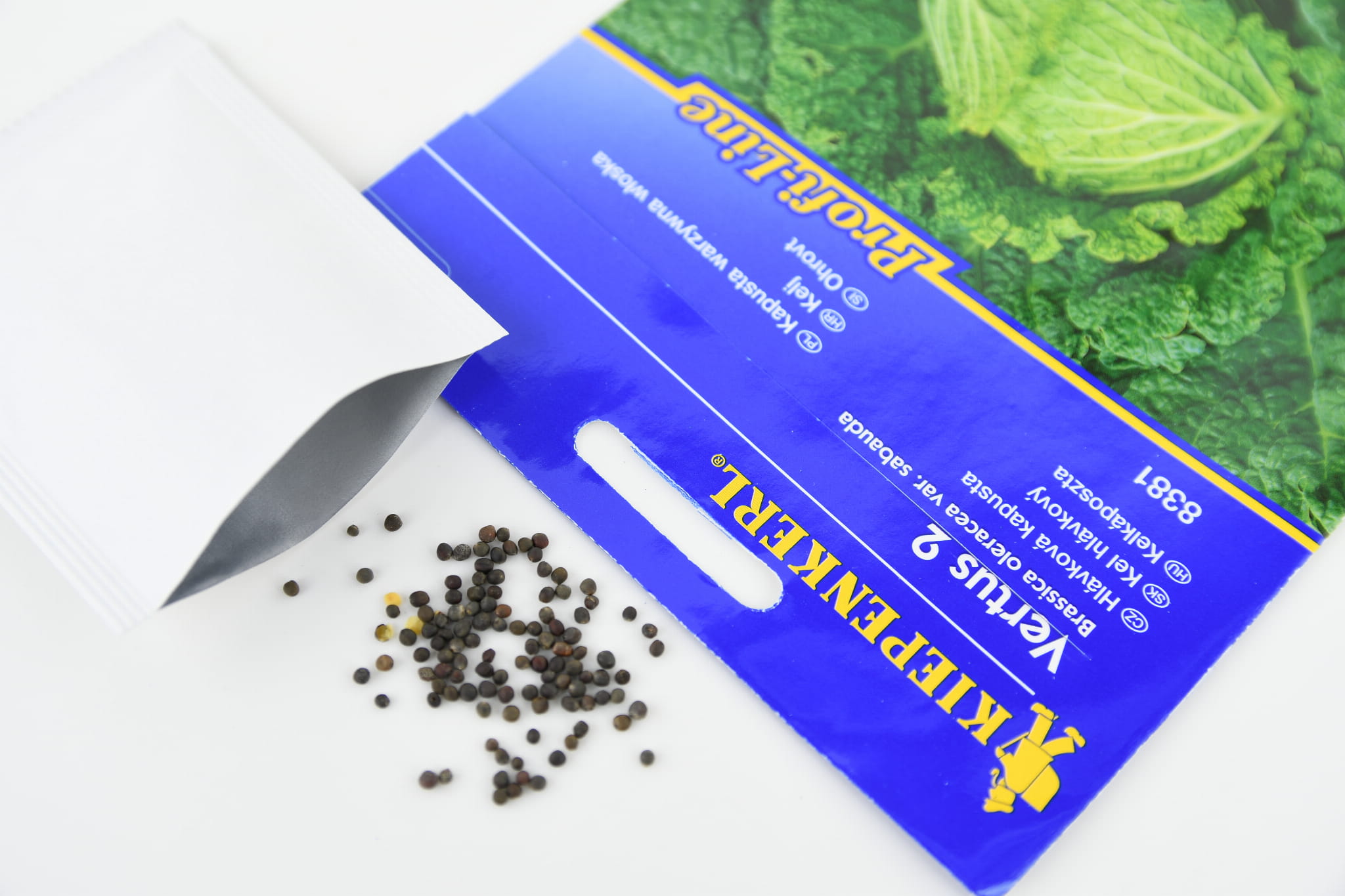 Kapusta W³oska 'Vertus 2' Póna Kiepenkerl - obrazek 2