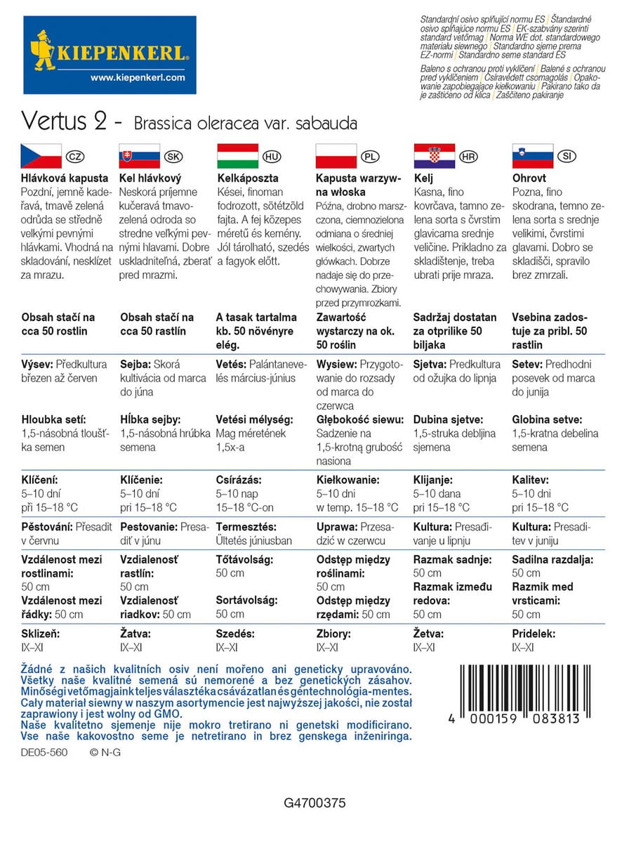 Kapusta W³oska 'Vertus 2' Póna Kiepenkerl - obrazek 3