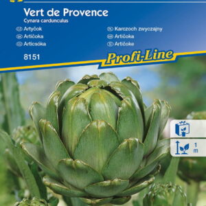 Karczoch 'Vert de Provence' Wieloletni Kiepenkerl