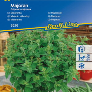 Majeranek jednoroczny  Kiepenkerl