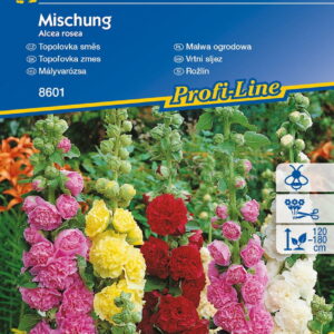 Malwa Ogrodowa Mix Kolorów Kiepenkerl