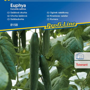 Ogórek Szklarniowy 'Euphya' F1 D³ugi Kiepenkerl