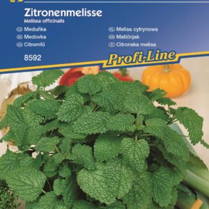 Melisa Cytrynowa Wieloletnia Kiepenkerl