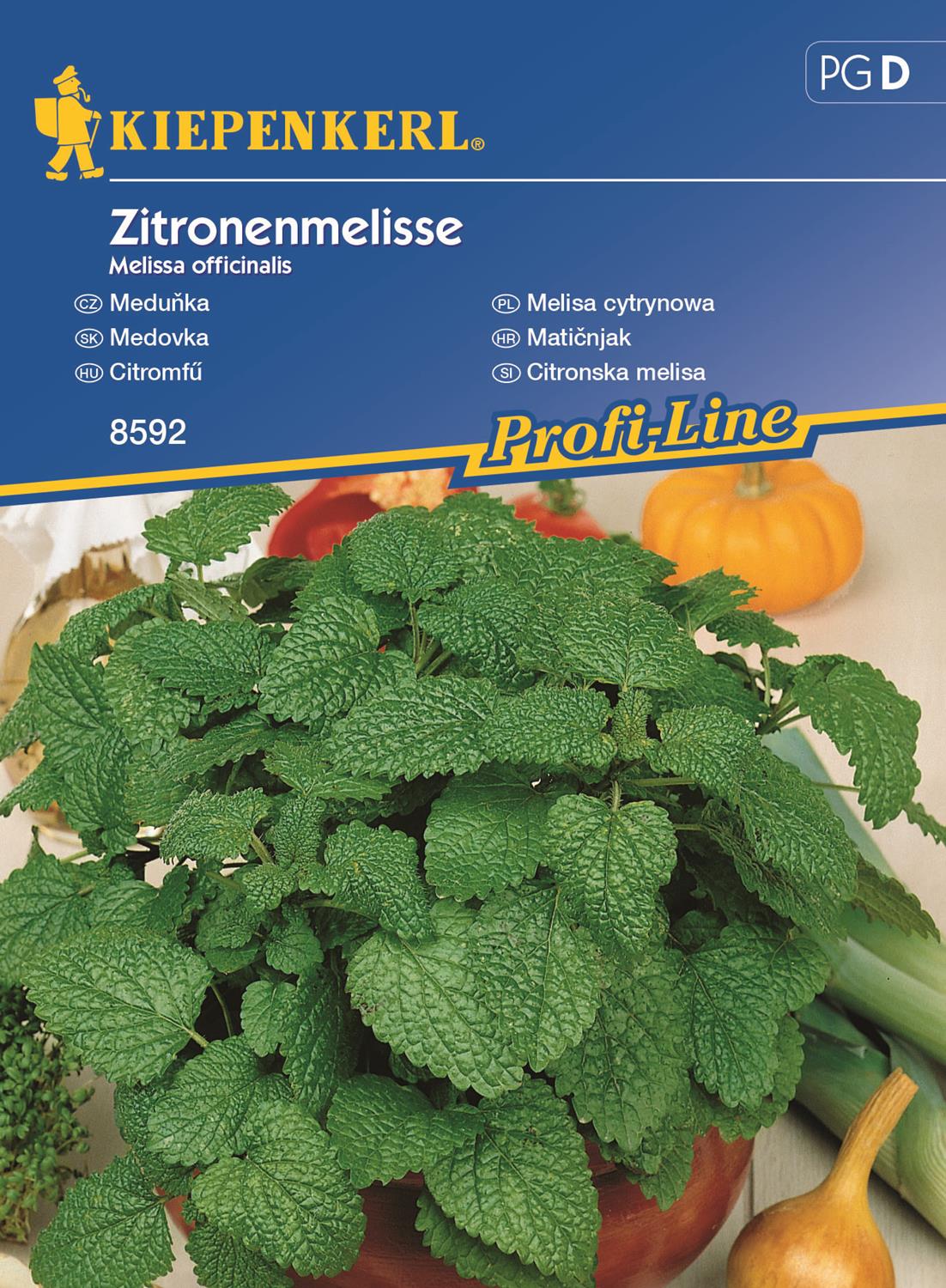 Melisa Cytrynowa Wieloletnia Kiepenkerl