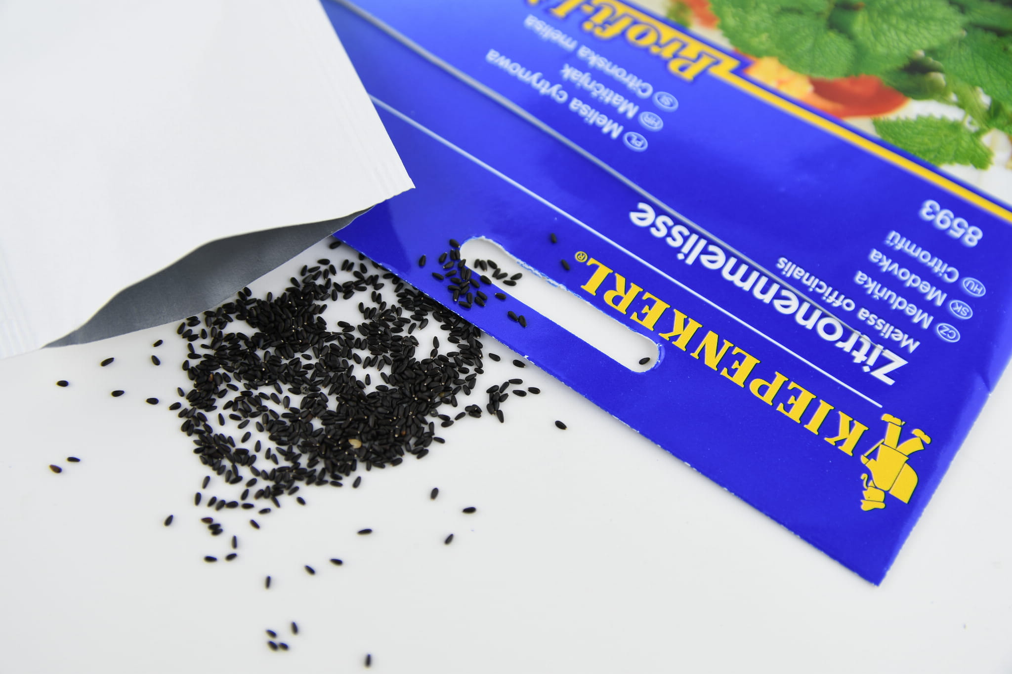 Melisa Cytrynowa Wieloletnia Kiepenkerl - obrazek 2