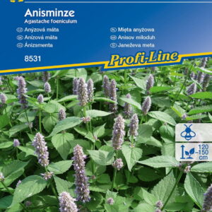 Miêta Any¿owa Jednoroczna Kiepenkerl