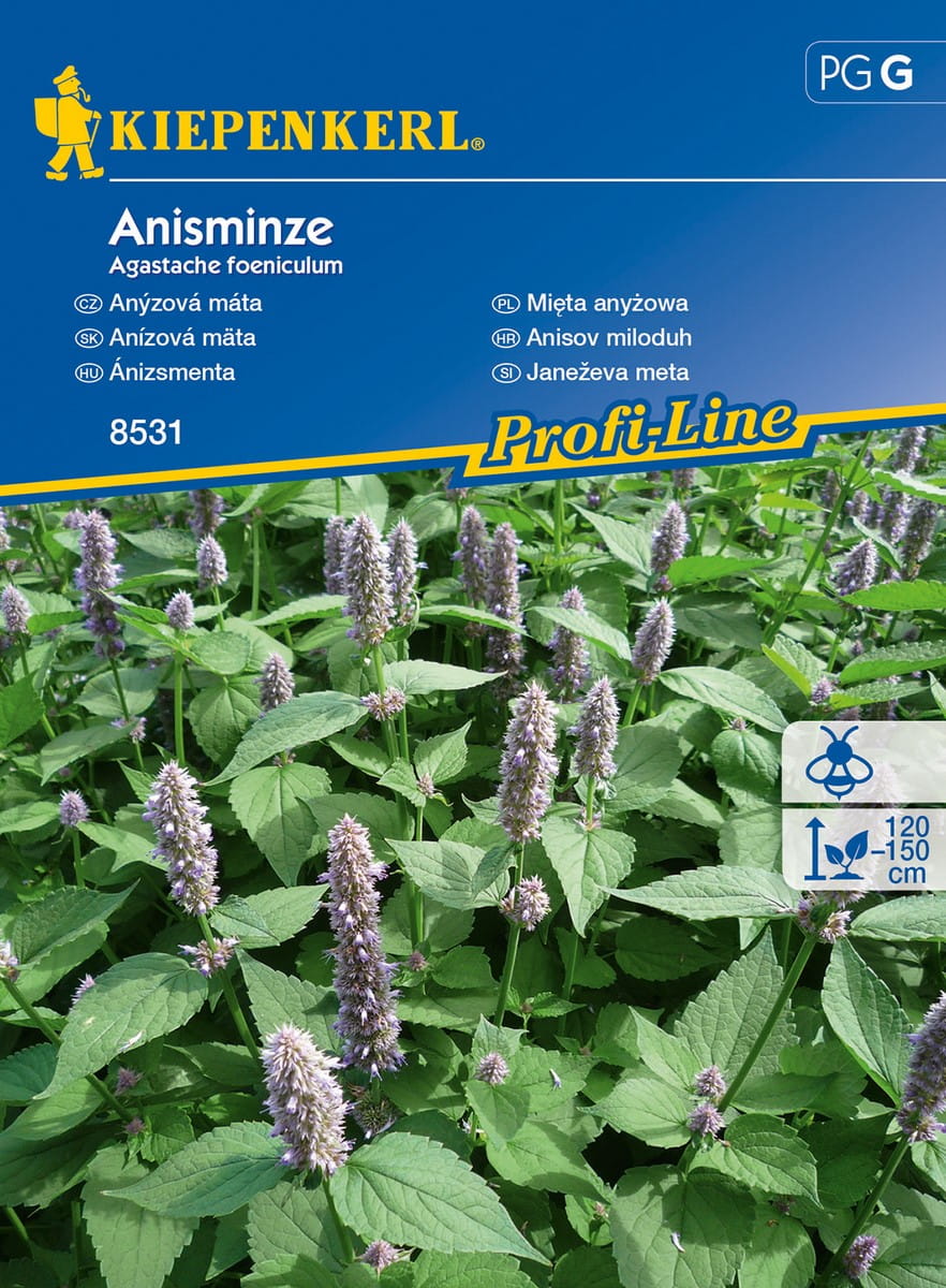 Miêta Any¿owa Jednoroczna Kiepenkerl