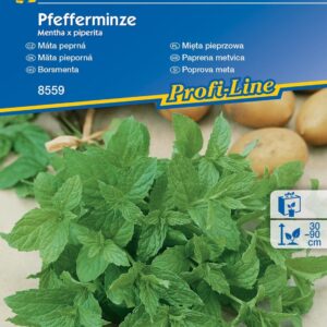 Miêta Pieprzowa Wieloletnia Kiepenkerl