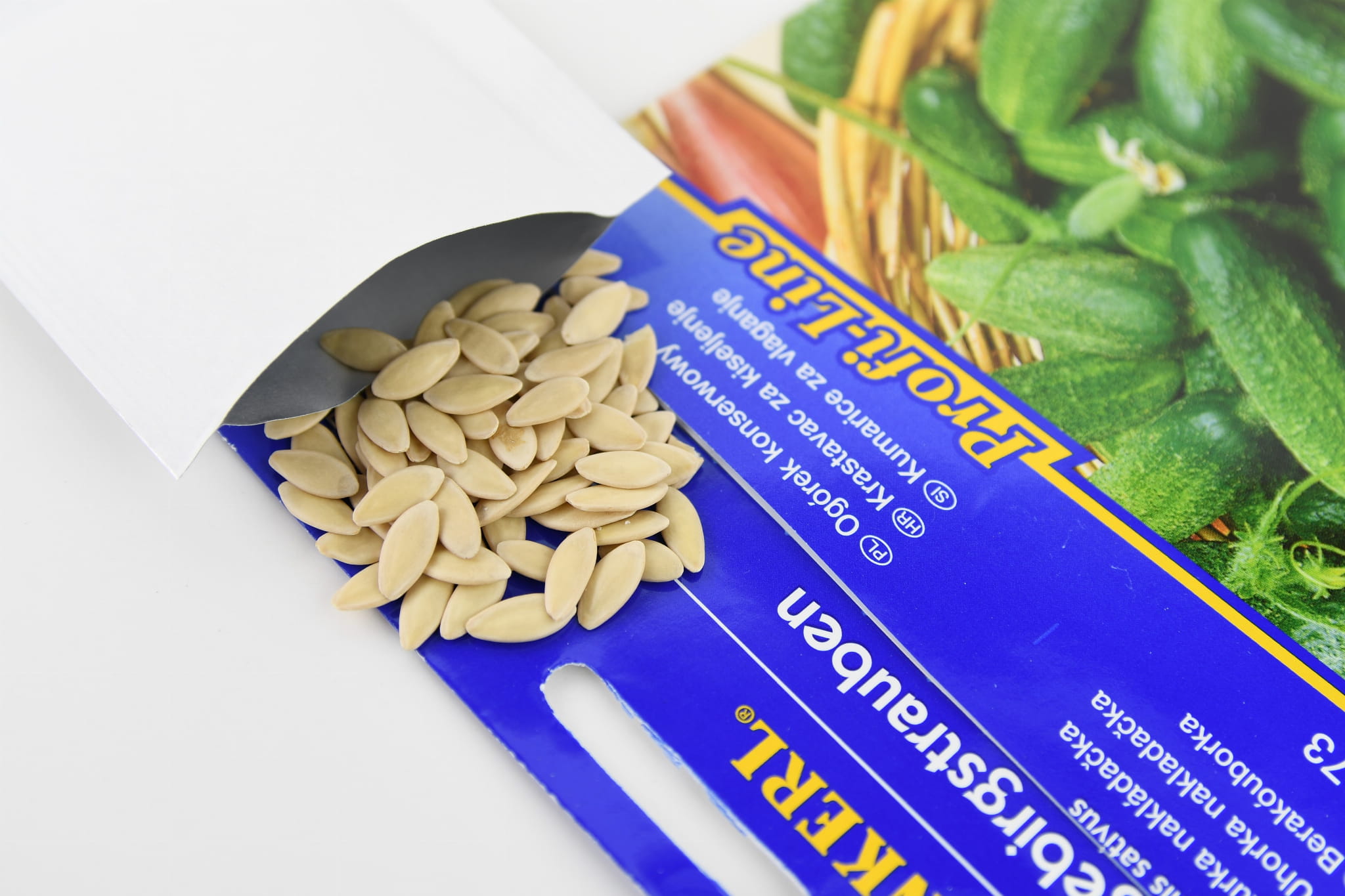 Ogórek konserwowy Vorgebirgstrauben Cucumis sativus - obrazek 2