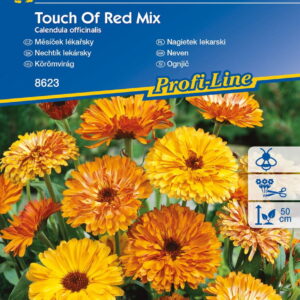 Nagietek Lekarski 'Touch Of Red' Mix Nasion Kiepenkerl