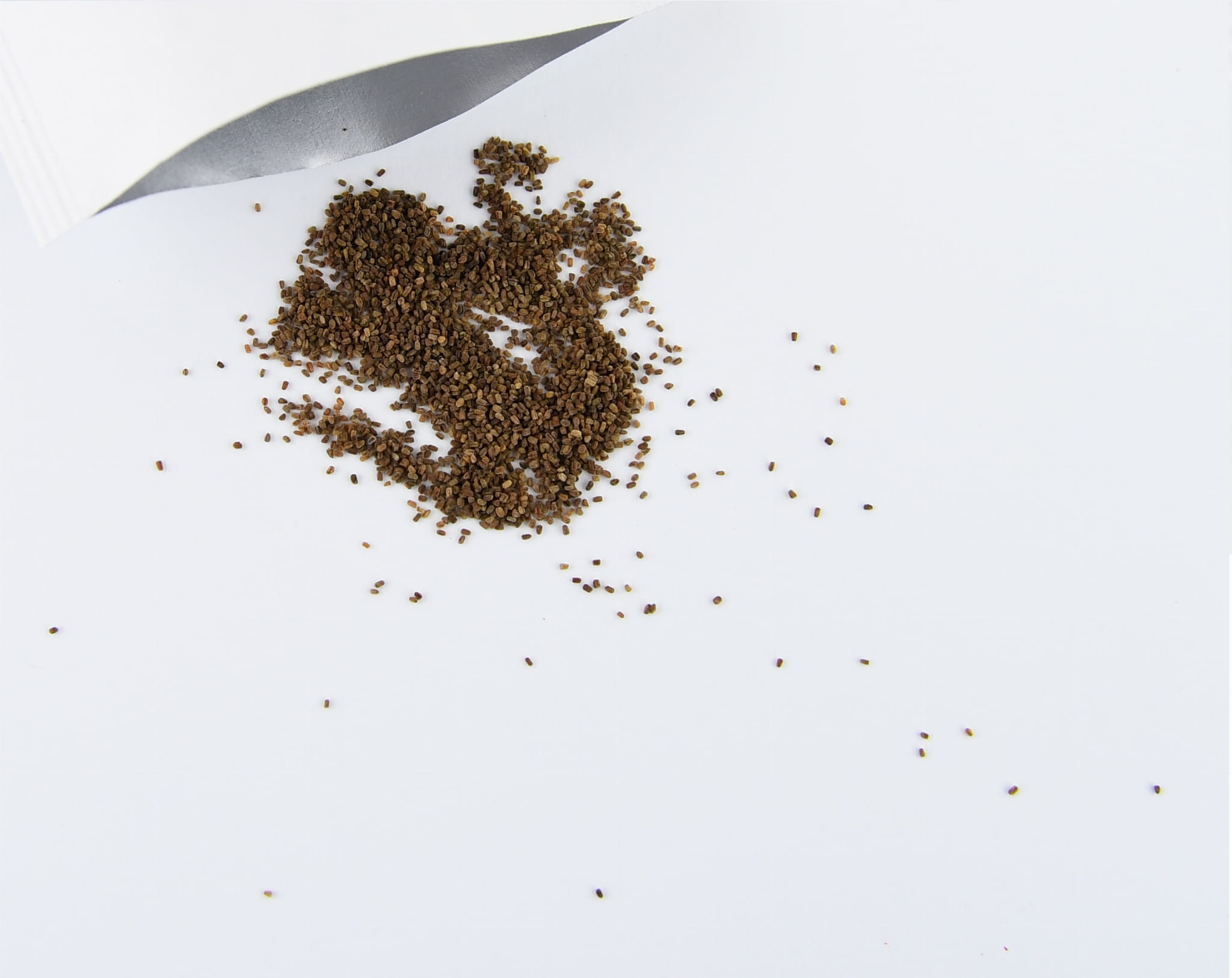 Naparstnica 'Excelsior' Dwuletnia Kiepenkerl - obrazek 2