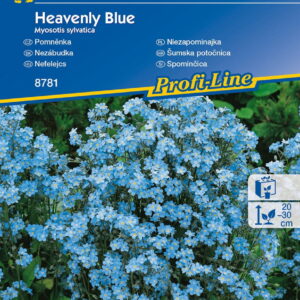 Niezapominajka 'Heavenly Blue'  Kiepenkerl