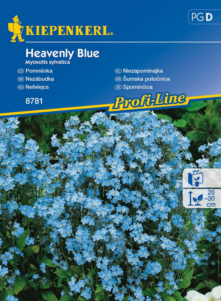 Niezapominajka 'Heavenly Blue' Kiepenkerl