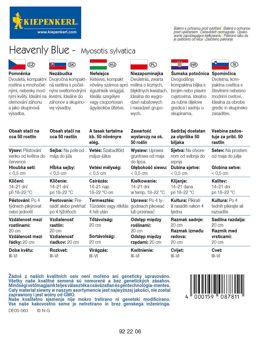 Niezapominajka 'Heavenly Blue' Kiepenkerl - obrazek 2