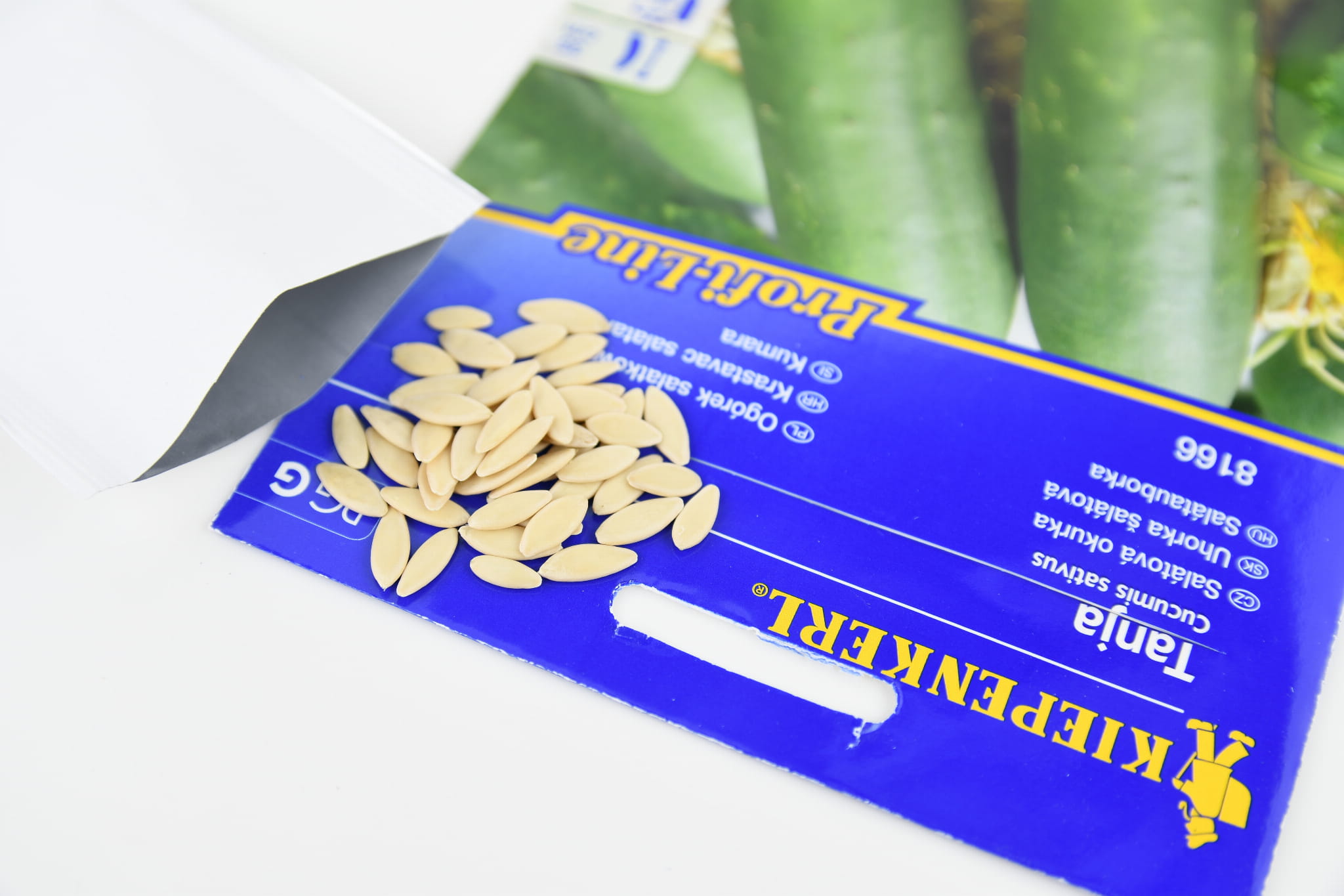 Ogórek 'Tanja' Szklarniowy Kiepenkerl - obrazek 2