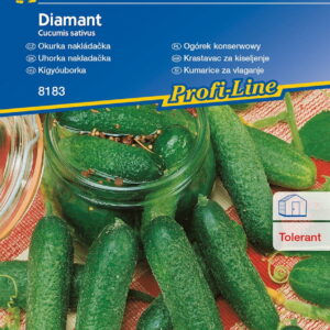 Ogórek Konserwowy 'Diamant' F1 Gruntowy Kiepenkerl