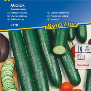 Ogórek 'Midios' F1 Sa³atkowy Kiepenkerl