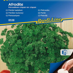 Pietruszka Naciowa 'Afrodite' Kr¹¿ki Kiepenkerl