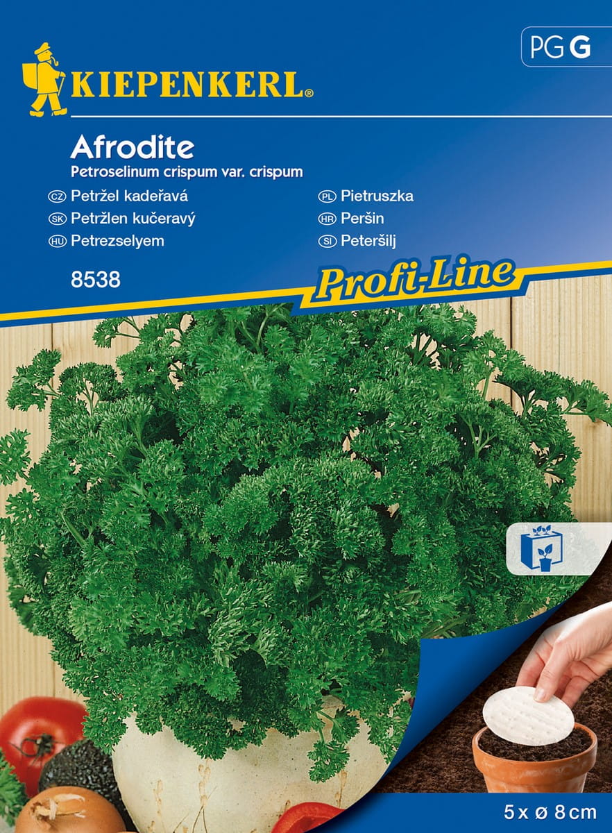 Pietruszka Naciowa 'Afrodite' Kr¹¿ki Kiepenkerl