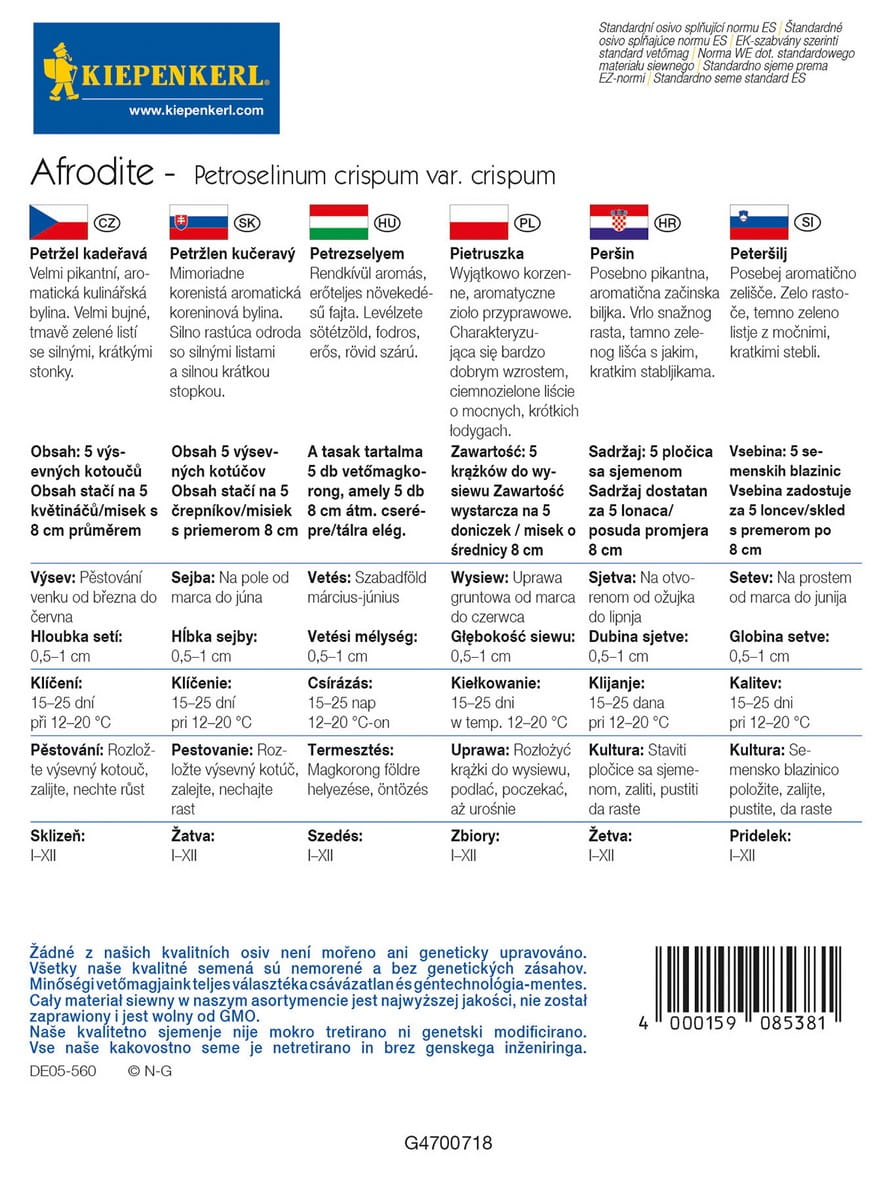 Pietruszka Naciowa 'Afrodite' Kr¹¿ki Kiepenkerl - obrazek 4